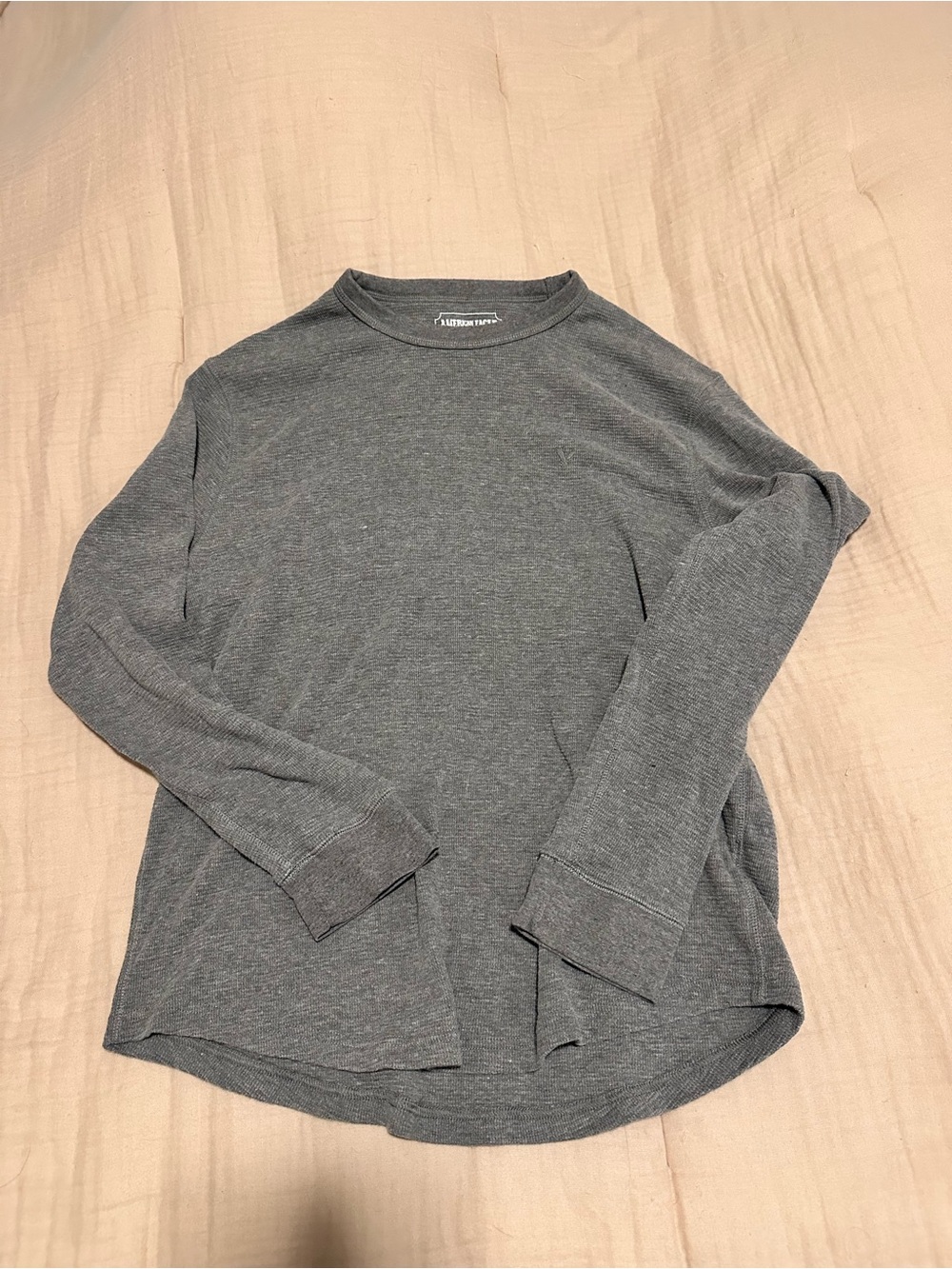 American Eagle Outfitters Gray Crewneck Long Sleeve
